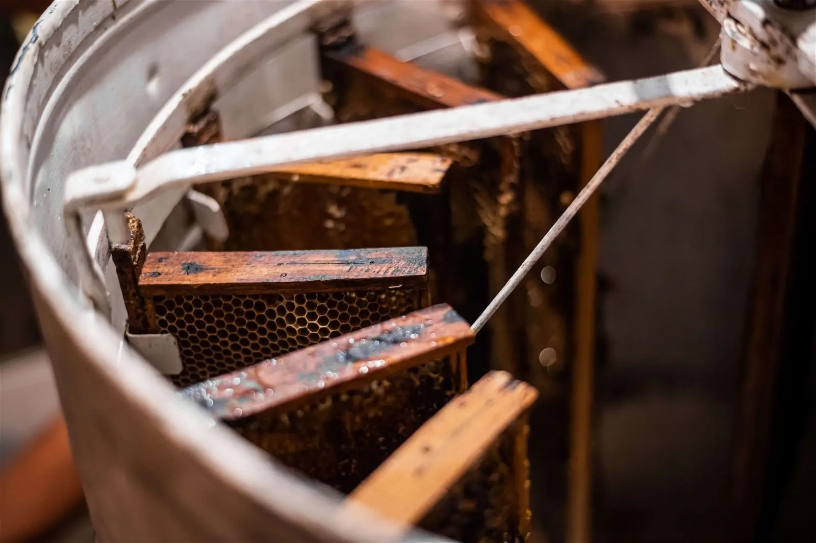 Beekeeper filling a honey extractor with honeycomb frames