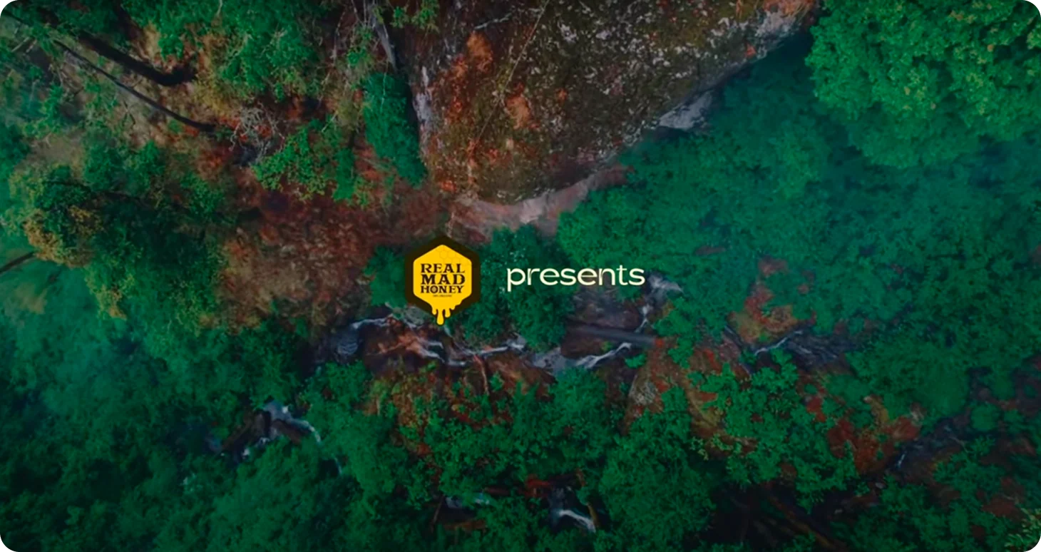 The Journey of the Hive documentary